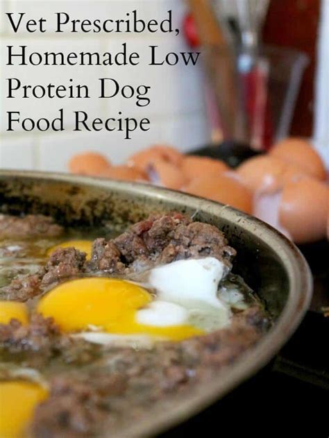 Homemade Dog Food Recipe Low Protein Restless Chipotle
