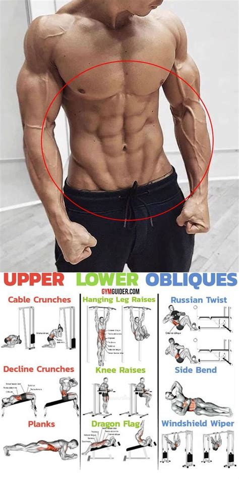 Upper Lower Obliques Gym Workout Chart Abs And Cardio Workout Abs