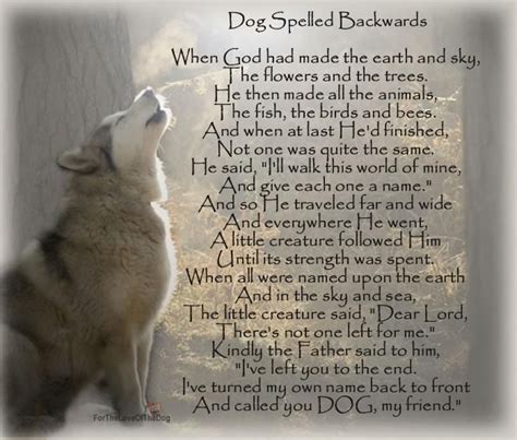 So God Made A Dog Poem Dog Poems Dog Poems Dogs Dog Quotes