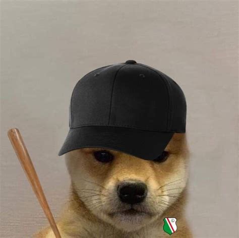 Dog Icon Dog Projects Dog Images Shiba Doge Otaku Anime Riding