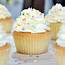 Vanilla Cupcakes  World Of Temptations