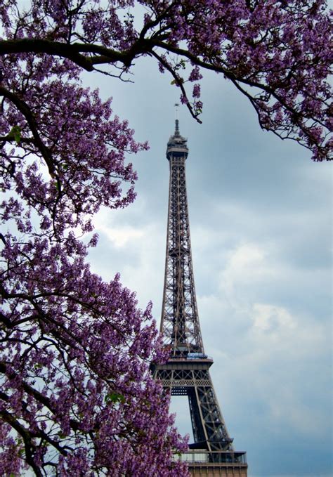 Spring In Paris Hdr Photo Of The Eiffel Tower From Palais De Chaillot