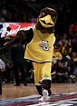March Madness 2011: Power Ranking the Mascots of the Sweet Sixteen ...
