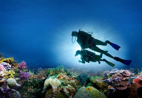 Scuba Diving South Pacific Costa Rica