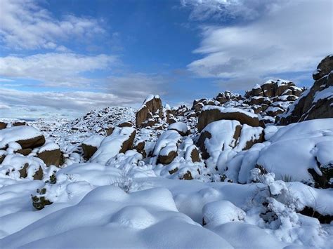 Does It Snow In Joshua Tree National Park