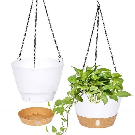 Elevate Your Home Decor With These Amazing Indoor Hanging Planters