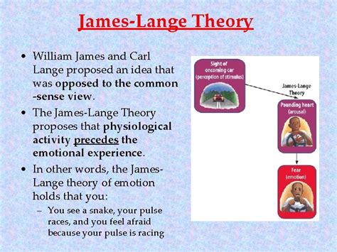 Theories Of Emotion Twofactor Theory James Lange Theory