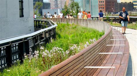 NYC's High Line Park Marks 10 Years of Transformation - NBC New York