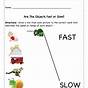 Fast And Slow Worksheet