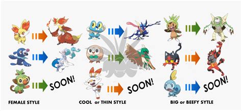 Pokemon Images Fully Evolved Pokemon Gen 8 Starter Ev