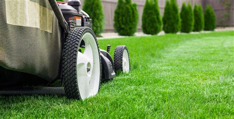 Lawn Care Tips 7 Techniques Youll Want To Know