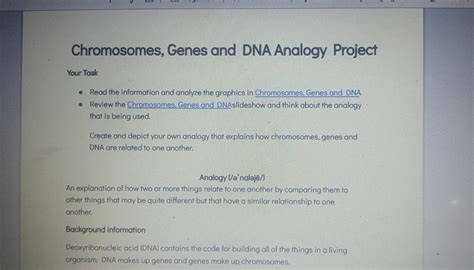 Solved Chromosomes Genes And Dna Analogy Project Your Task