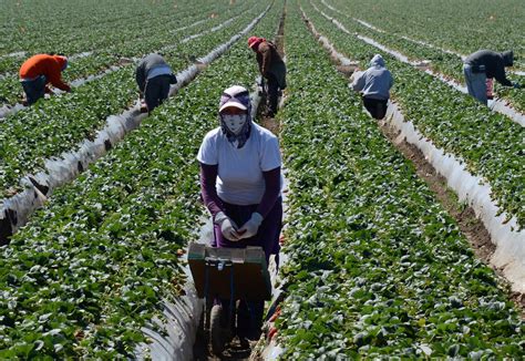 Farmers Need Immigration Reform Us Agriculture Secretary Says Huffpost