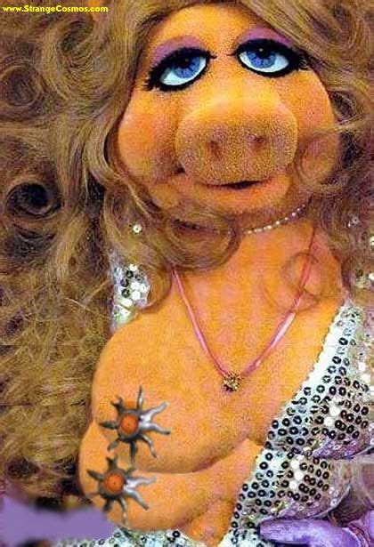 20 MISS PIGGY Ideas Miss Piggy Piggy Muppets