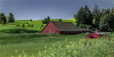 English Style Barn In The Heart Of The Palouse Photograph By Marcy