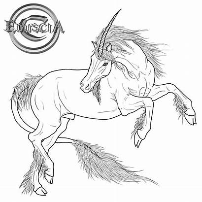 Unicorn Lineart Deviantart Coloring Horse Pages Drawings