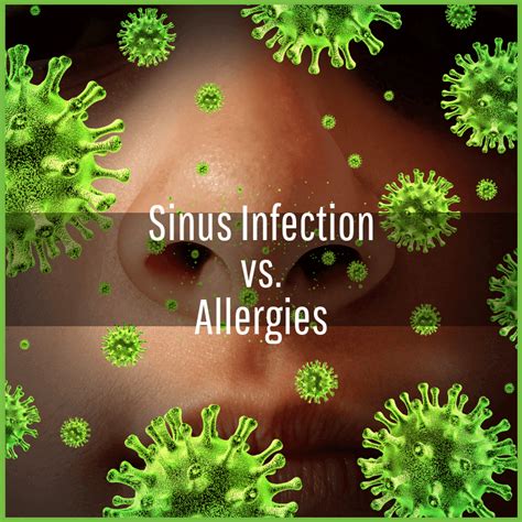 How To Know If You Have A Sinus Infection Or Just Allergies Houston