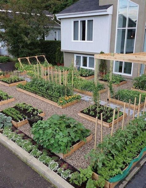 15 Fascinating Fruit And Vegetable Garden Ideas You Need To Try