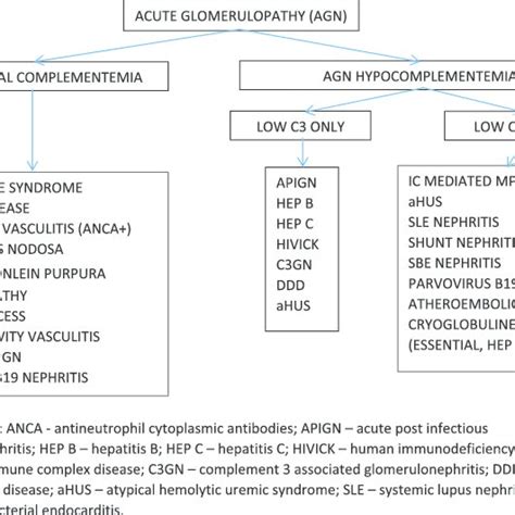 Differential Diagnosis Of Glomerular Disease Based On Complement