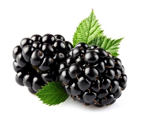 ᐈ Blackberry Stock Images Royalty Free Blackberry Photos Download On