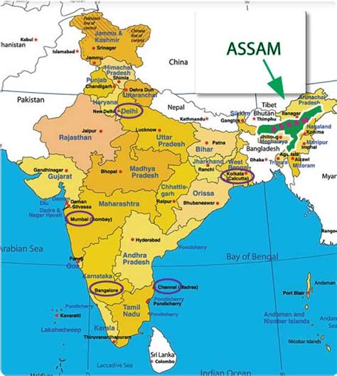 India12 Dead 15 Injured In Kokrajhar Market In Assam State Ripplesnet