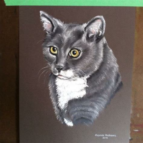 Custom Cat Portraits Created From Your Photographs Cat Art For Pet Lovers