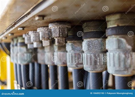 Electrical Cable Glands And Plug Stock Photo Image Of Panel Energy