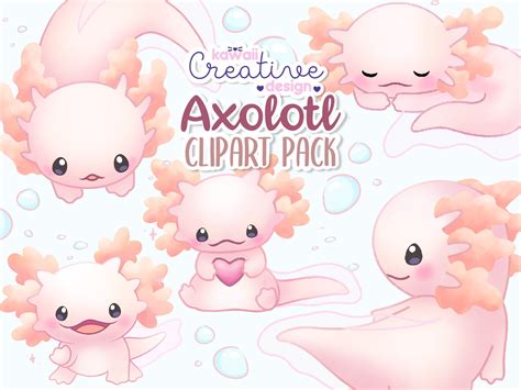 Kawaii Axolotl Clipart Bundle Kawaii Axolotl Sticker Cute Etsy