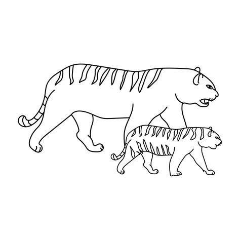 Adult Tiger And Tiger Cub Mom And Baby Animals Educational Materials