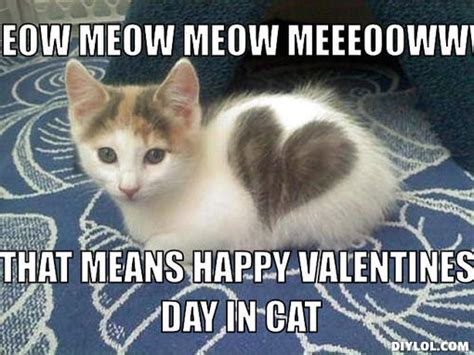 image valentine kitteh meme generator meow meow meow meeeoo that means happy valentines day