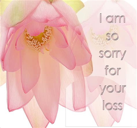 sorry for your loss images - Google Search | Condolence messages sympathy cards, Sympathy ...