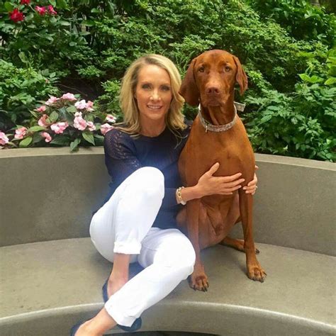 10 Best Dana Perino Images On Pinterest Dana Perino Blonde Hair And