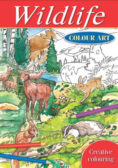 Book Colouring Wildlife Williams Direct