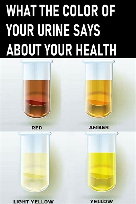 What The Color Of Your Urine Says About Your Health Urinal Health