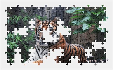 Sumatran Tiger Jigsaw Puzzles Online