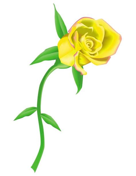 Blooming Yellow Rose Clipart Animated Yellow Roses