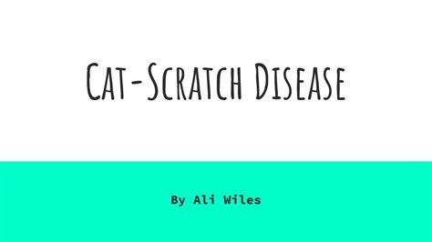 Cat Scratch Disease By Ali Wiles Ppt Download