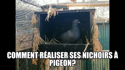 Comment réaliser ses nichoirs à pigeon YouTube