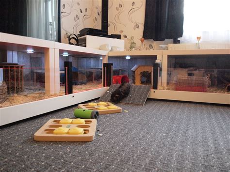 Amazing Guinea Pig Mansion From Lydia On IKEAhackers Net Diy Guinea Pig