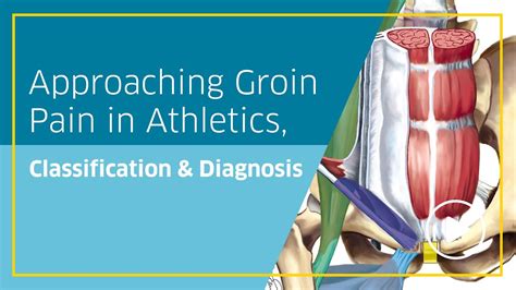 Approaching Groin Pain In Athletics Classification And Diagnosis Youtube