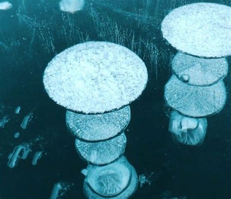 Hypnotic Footage Of Icy Methane Bubbles Floating Up To The Surface Of A