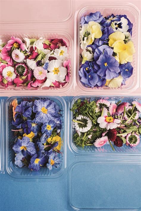 <p>no matter how tough life gets or how bad your mood is, flowers always manage to make you smile with their beauty and grace. How To Decorate With Edible Flowers For Cakes | Edible ...