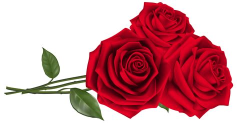 Three Red Roses PNG Clipart Image ClipArt Best ClipArt Best