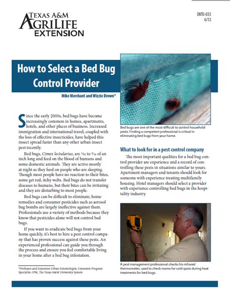 Insects In The City New Bed Bug Publication
