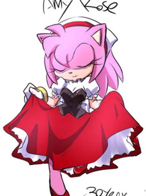 amy rose amy rose shadow and amy amy the hedgehog