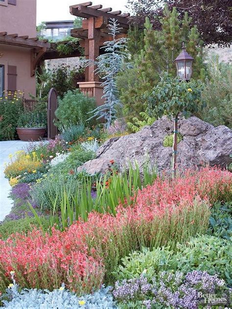 38 Best Drought Tolerant Plants That Grow In Lack Of Water