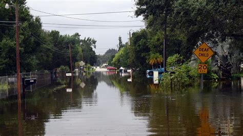 Whats The Real Flood Danger In Florida New Data Shows The Risk To