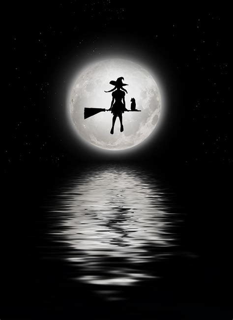 Full Moon Witch Free Stock Photo Public Domain Pictures
