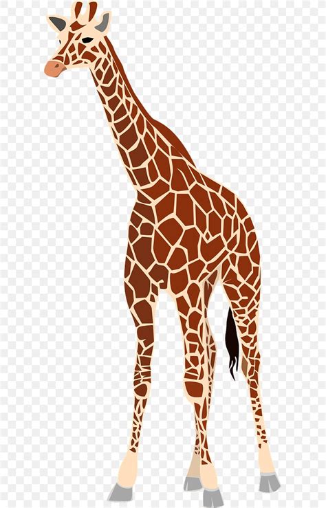 Giraffe Clip Art Vector Graphics Illustration Png 640x1280px Giraffe