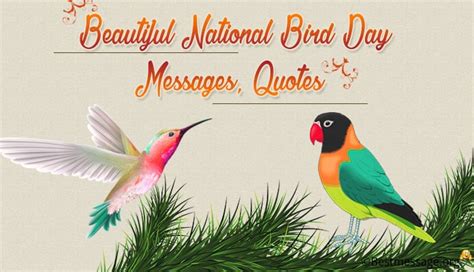 Beautiful National Bird Day Messages Quotes And Greetings Expose Times